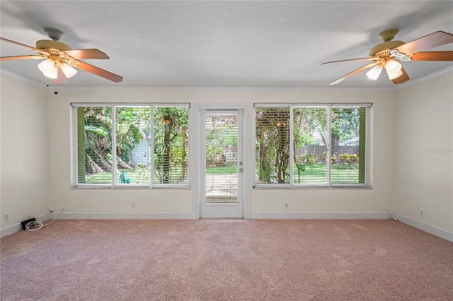 7515 N Ola Ave, Tampa, FL 33604 - photo 26