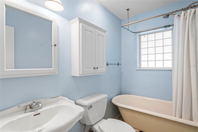 7515 N Ola Ave, Tampa, FL 33604 - photo 30