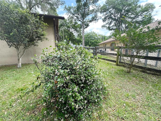 6262 E Rector St, Inverness, FL 34452 - view of yard