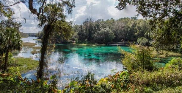 6262 E Rector St, Inverness, FL 34452 - water view with a forest