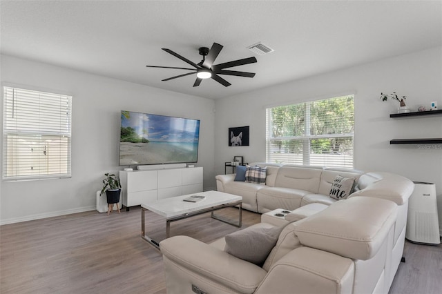 10823 Trailing Vine Dr, Tampa, FL 33610 - living area with wood finished floors and a ceiling fan