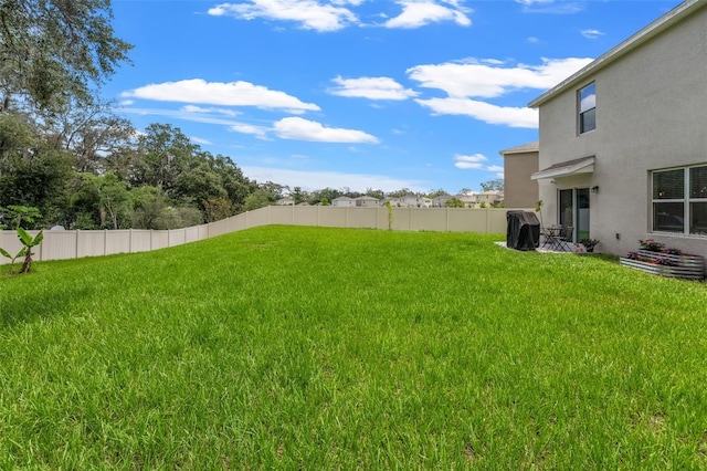 10823 Trailing Vine Dr, Tampa, FL 33610 - view of yard
