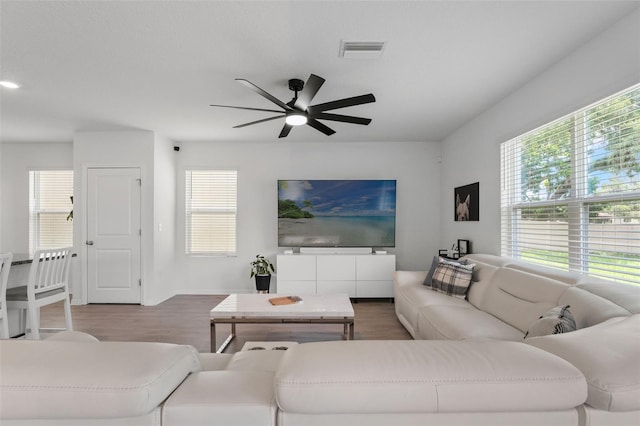 10823 Trailing Vine Dr, Tampa, FL 33610 - living room with a ceiling fan and wood finished floors