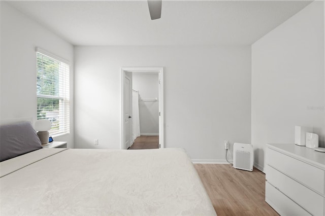 10823 Trailing Vine Dr, Tampa, FL 33610 - bedroom with light wood-style floors, a ceiling fan, and a walk in closet