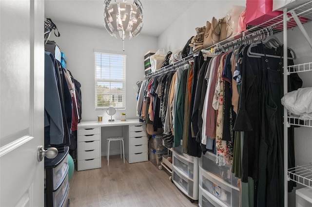 10823 Trailing Vine Dr, Tampa, FL 33610 - walk in closet with wood finished floors