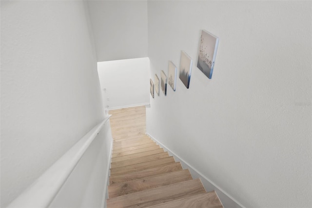 10823 Trailing Vine Dr, Tampa, FL 33610 - stairs featuring wood finished floors