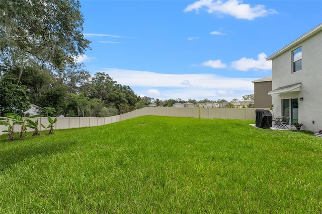 10823 Trailing Vine Dr, Tampa, FL 33610 - view of yard