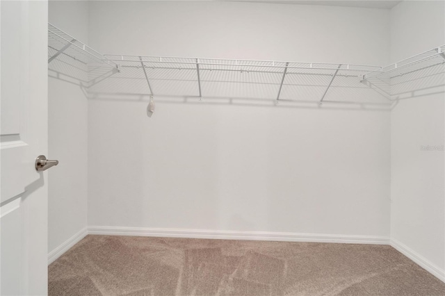 3186 Oyster Cove St, Wimauma, FL 33598 - photo 23