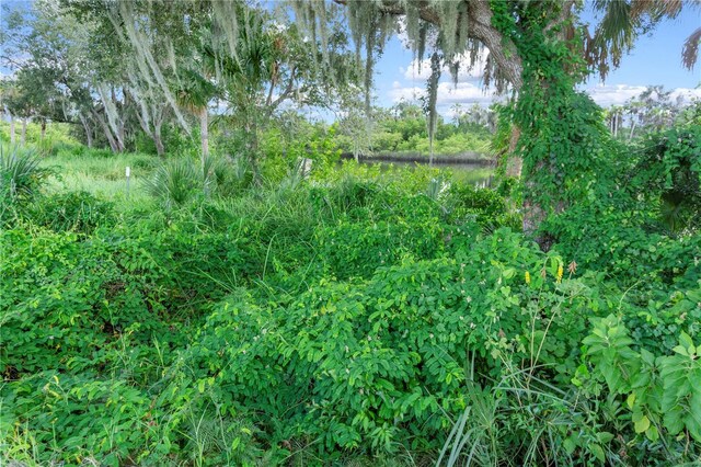 11609 Bayou Cv, Parrish, FL 34219