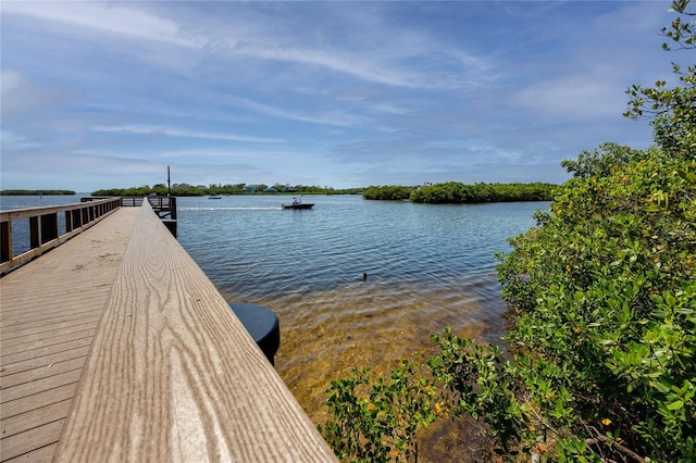 350 Kentucky Ave, Crystal Beach, FL 34681 - photo 78