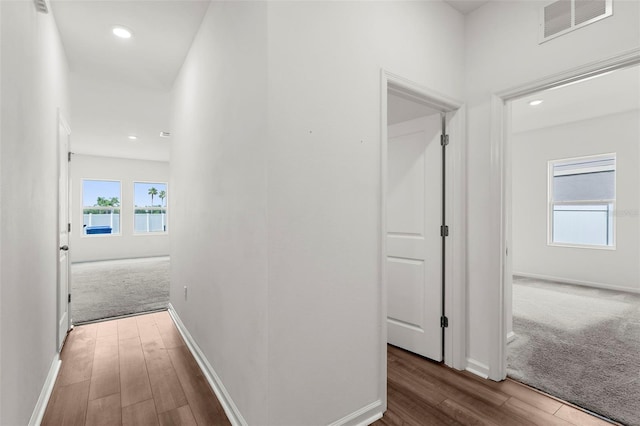 1038 Kelly Fern Loop, Ruskin, FL 33570 - photo 13