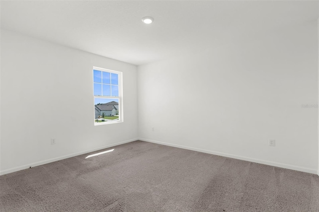 1038 Kelly Fern Loop, Ruskin, FL 33570 - photo 23