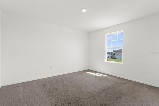 1038 Kelly Fern Loop, Ruskin, FL 33570 - photo 26