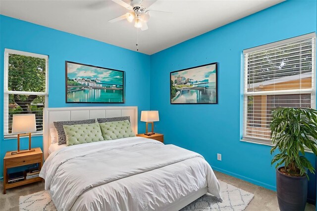 859 Harbor Hill Dr, Safety Harbor, FL 34695 - photo 21