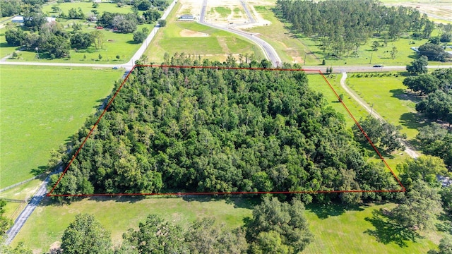 36126 Saint Joe Rd, Dade City, FL 33525 - photo 3