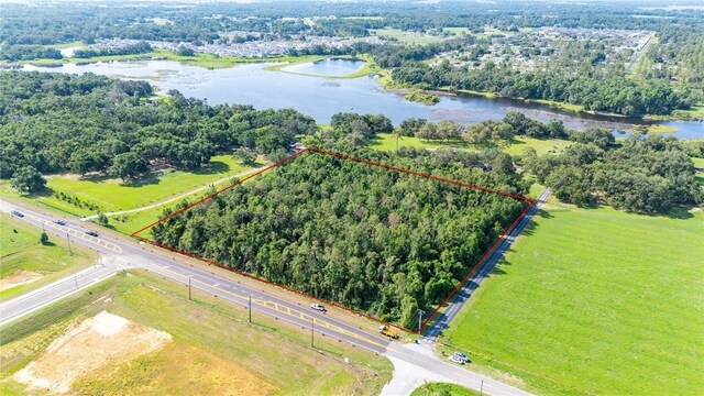 36126 Saint Joe Rd, Dade City, FL 33525 - photo 8