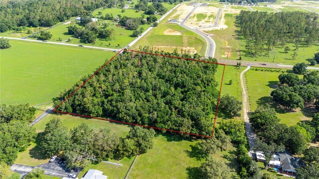 36126 Saint Joe Rd, Dade City, FL 33525 - photo 14
