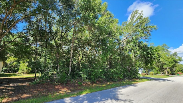 4104 E Scotty St, Inverness, FL 34453