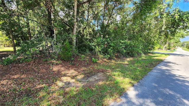 4104 E Scotty St, Inverness, FL 34453