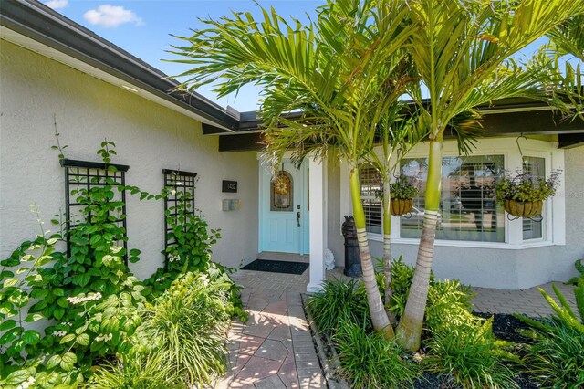 1432 50th Ave NE, Saint Petersburg, FL 33703 - photo 5