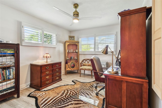 1432 50th Ave NE, Saint Petersburg, FL 33703 - photo 29