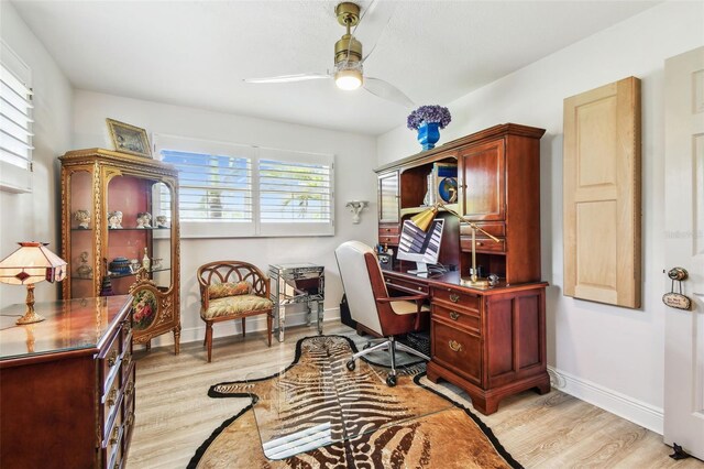 1432 50th Ave NE, Saint Petersburg, FL 33703 - photo 30