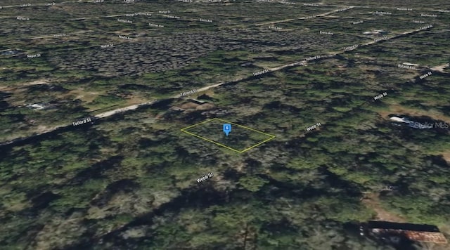 Webb, New Port Richey, FL 34654