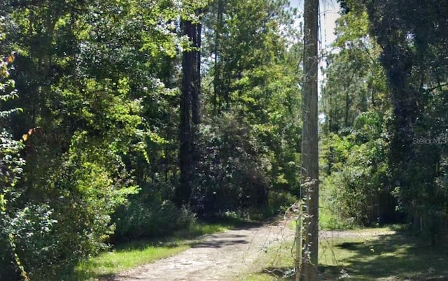 Webb, New Port Richey, FL 34654