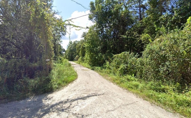 Webb, New Port Richey, FL 34654