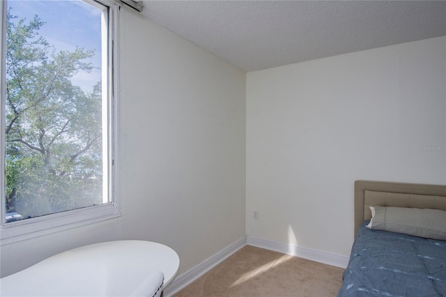 660 Island Way Unit 206, Clearwater, FL 33767 - photo 27