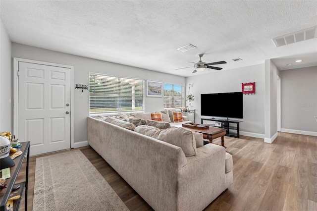 7210 14th St N, Saint Petersburg, FL 33702 - photo 6