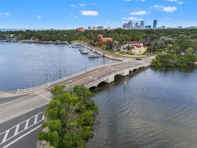 243 Snell Isle Blvd NE, Saint Petersburg, FL 33704 - photo 32