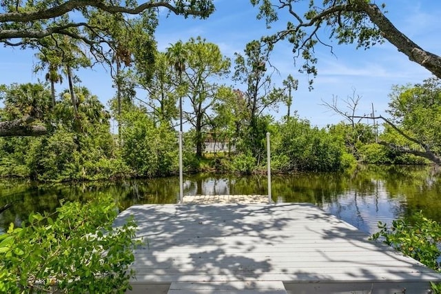 9107 Brunswick Ln, Tampa, FL 33615 - photo 5