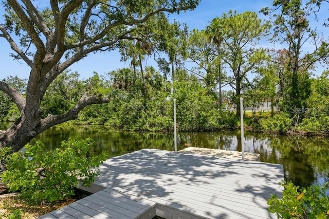 9107 Brunswick Ln, Tampa, FL 33615 - photo 6