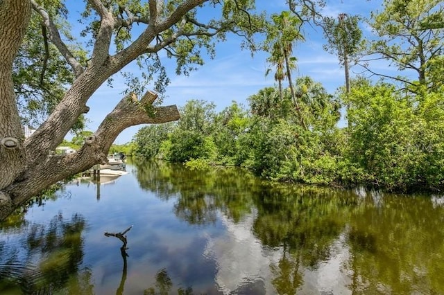 9107 Brunswick Ln, Tampa, FL 33615 - photo 8