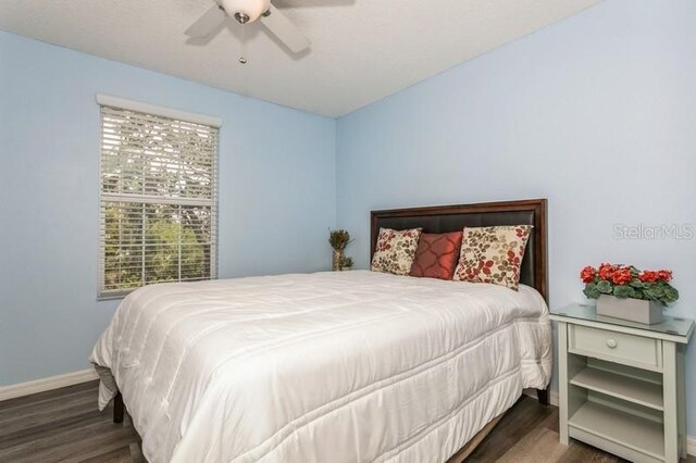 9107 Brunswick Ln, Tampa, FL 33615 - photo 33