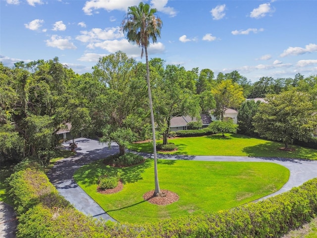 16205 Sentry Woods Ct, Odessa, FL 33556 - view of property's community with a lawn