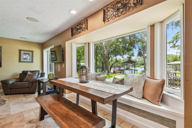 16205 Sentry Woods Ct, Odessa, FL 33556 - dining area featuring a textured ceiling, plenty of natural light, and light stone finish floors