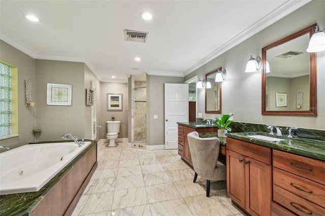 16205 Sentry Woods Ct, Odessa, FL 33556 - full bath featuring a shower stall, vanity, a jetted tub, ornamental molding, and recessed lighting