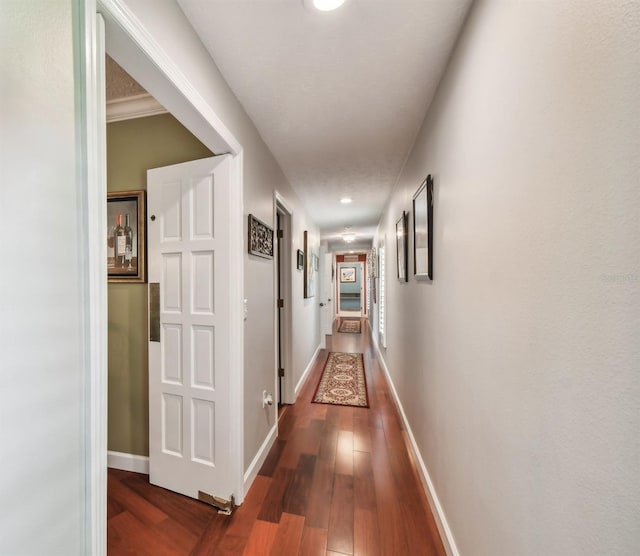 16205 Sentry Woods Ct, Odessa, FL 33556 - hall featuring wood finished floors and recessed lighting