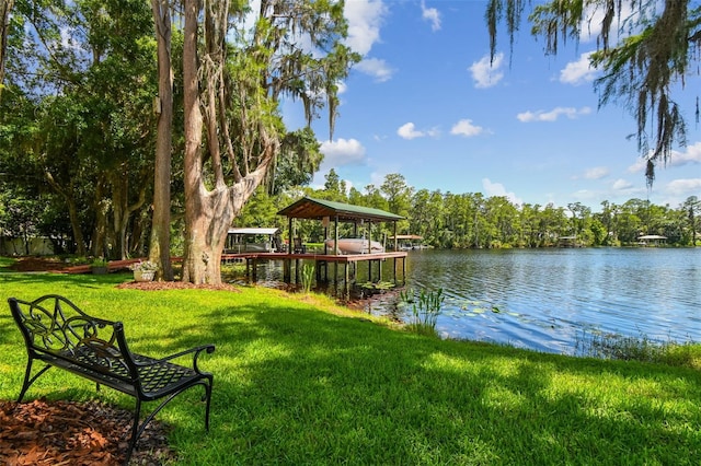 16205 Sentry Woods Ct, Odessa, FL 33556 - dock area with a yard and a water view