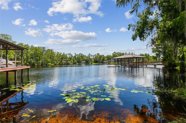 16205 Sentry Woods Ct, Odessa, FL 33556 - water view with a gazebo