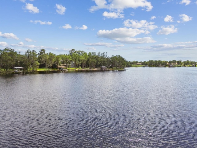 16205 Sentry Woods Ct, Odessa, FL 33556 - water view