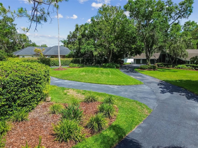 16205 Sentry Woods Ct, Odessa, FL 33556 - view of community with a yard