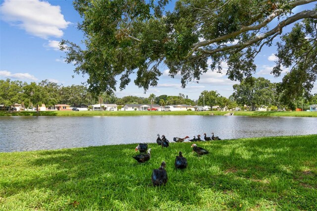 4211 28th Ave N, Saint Petersburg, FL 33713 - water view