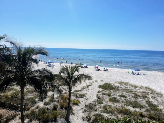 4211 28th Ave N, Saint Petersburg, FL 33713 - water view with nearby beach