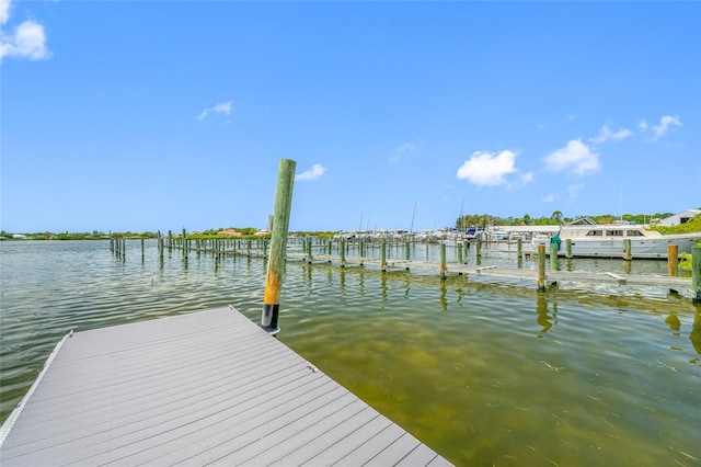 1242 Windy Bay Shl, Tarpon Springs, FL 34689 - photo 34