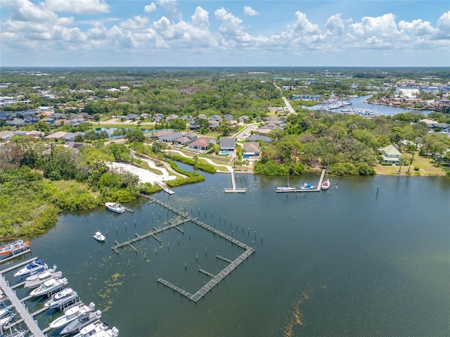 1242 Windy Bay Shl, Tarpon Springs, FL 34689 - photo 37