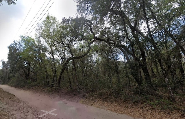 157th St, Umatilla, FL 32784 - photo 2