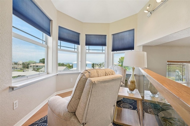 6543 Louise Ct, Hudson, FL 34667 - living area featuring wood finished floors and healthy amount of natural light